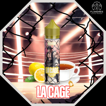 Lot de 6 Armbar 50 ml