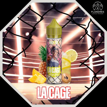 Lot de 6 Back Fist 50 ml